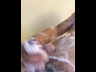 Asian Pal Enticing Trig Shower